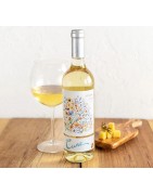 Bebidas alcoholicas