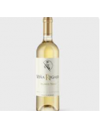 VINO BLANCO